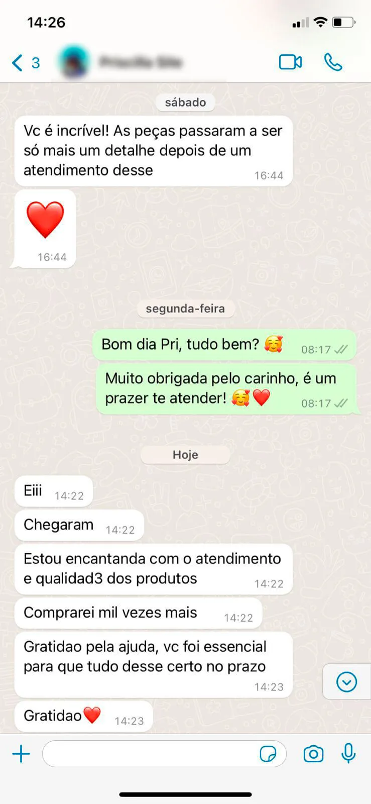 2t8o-1733333207083-depoimento-wpp-4