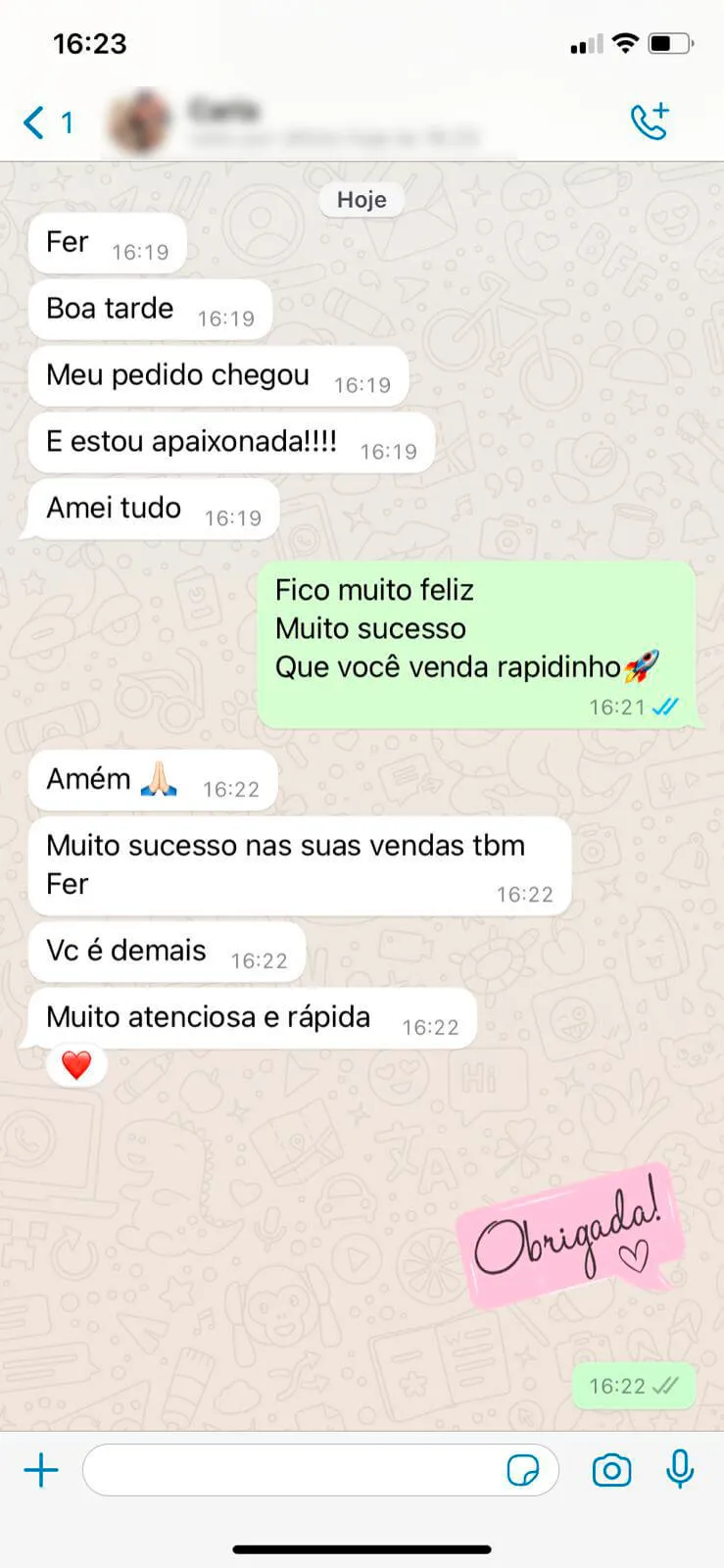 nd8x-1733333204664-depoimento-wpp-3